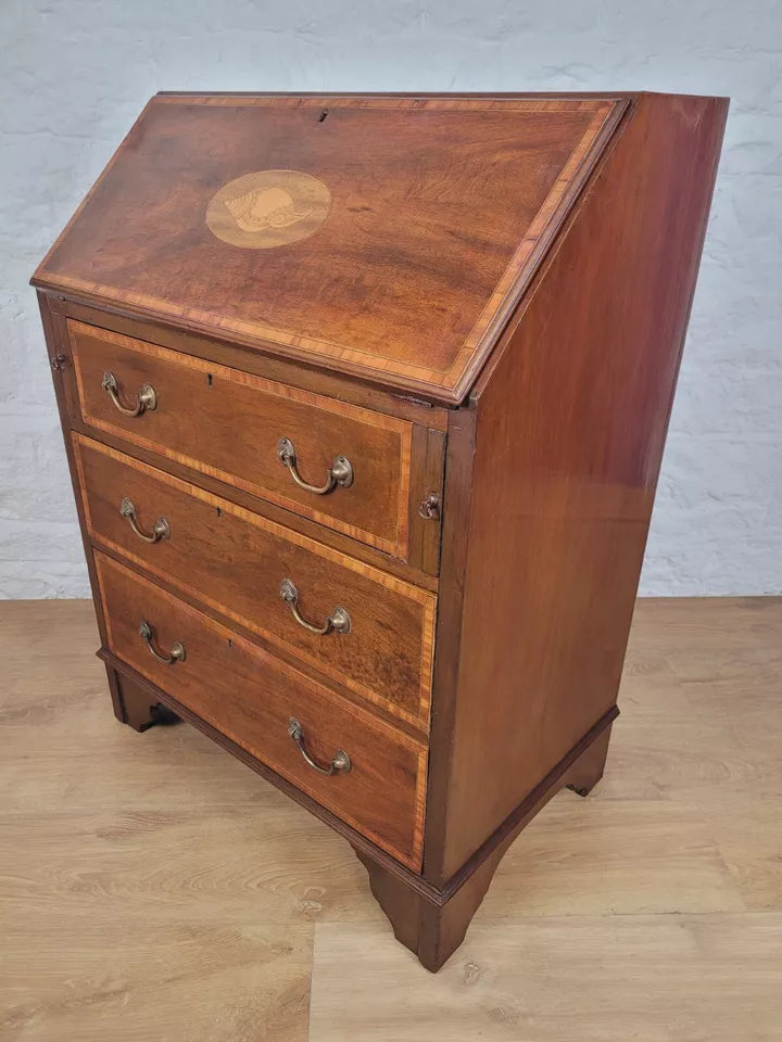 Edwardian Inlaid Writing Bureau Desk Shell Motif Mahogany Delivery Available