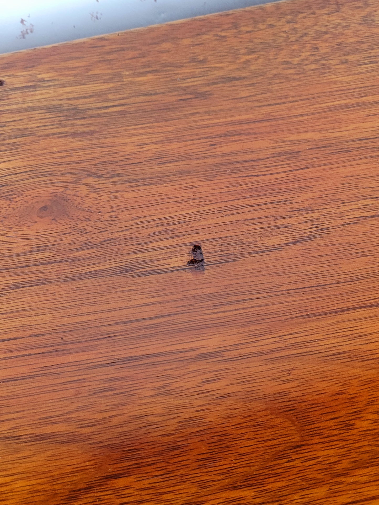 Walnut Bedside Cabinet Vintage Mid 20th Century Postage Available