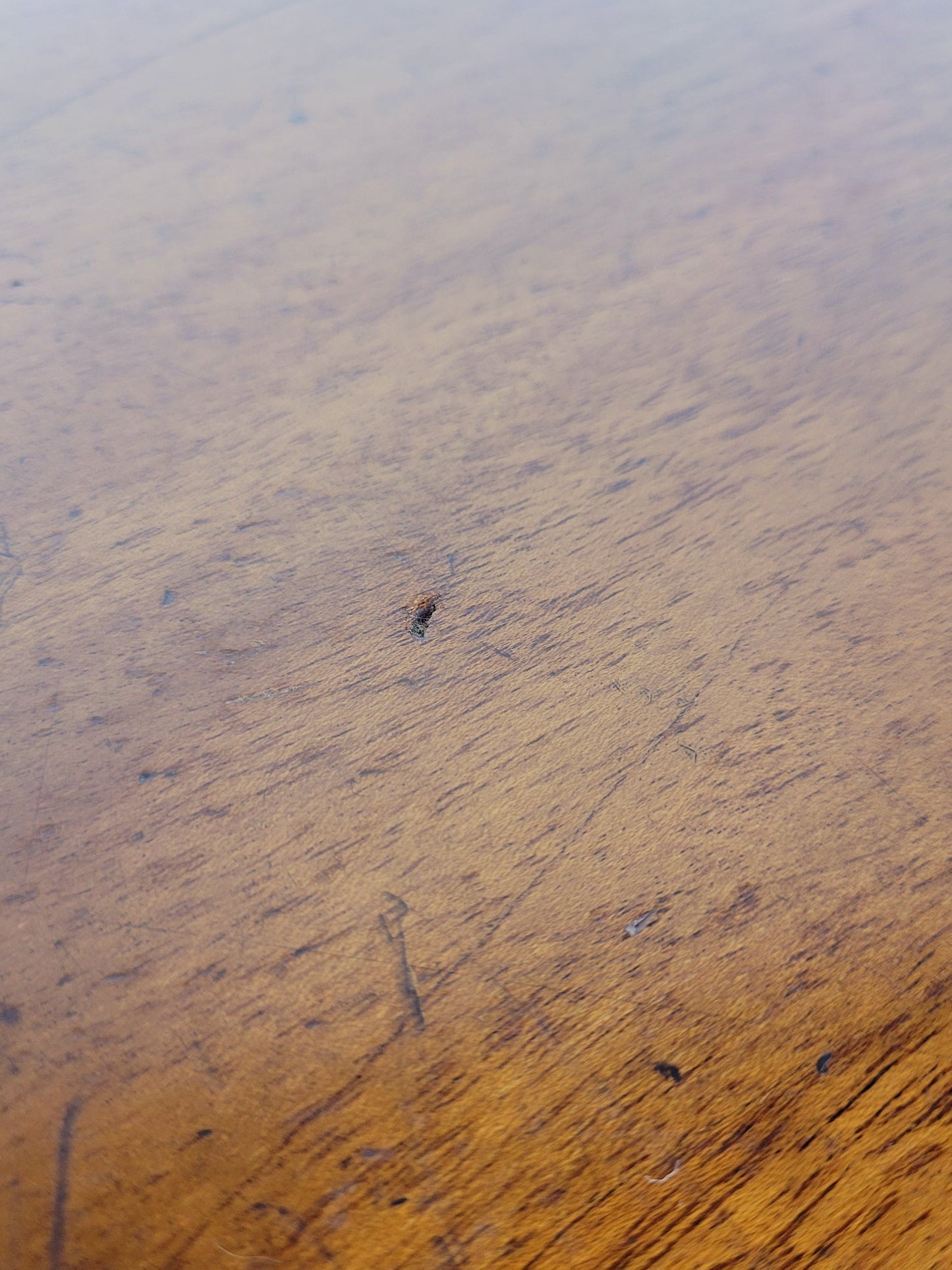 Edwardian Chest of Drawers 2 Over 3 1910s Drop Handle Antique Delivery Available